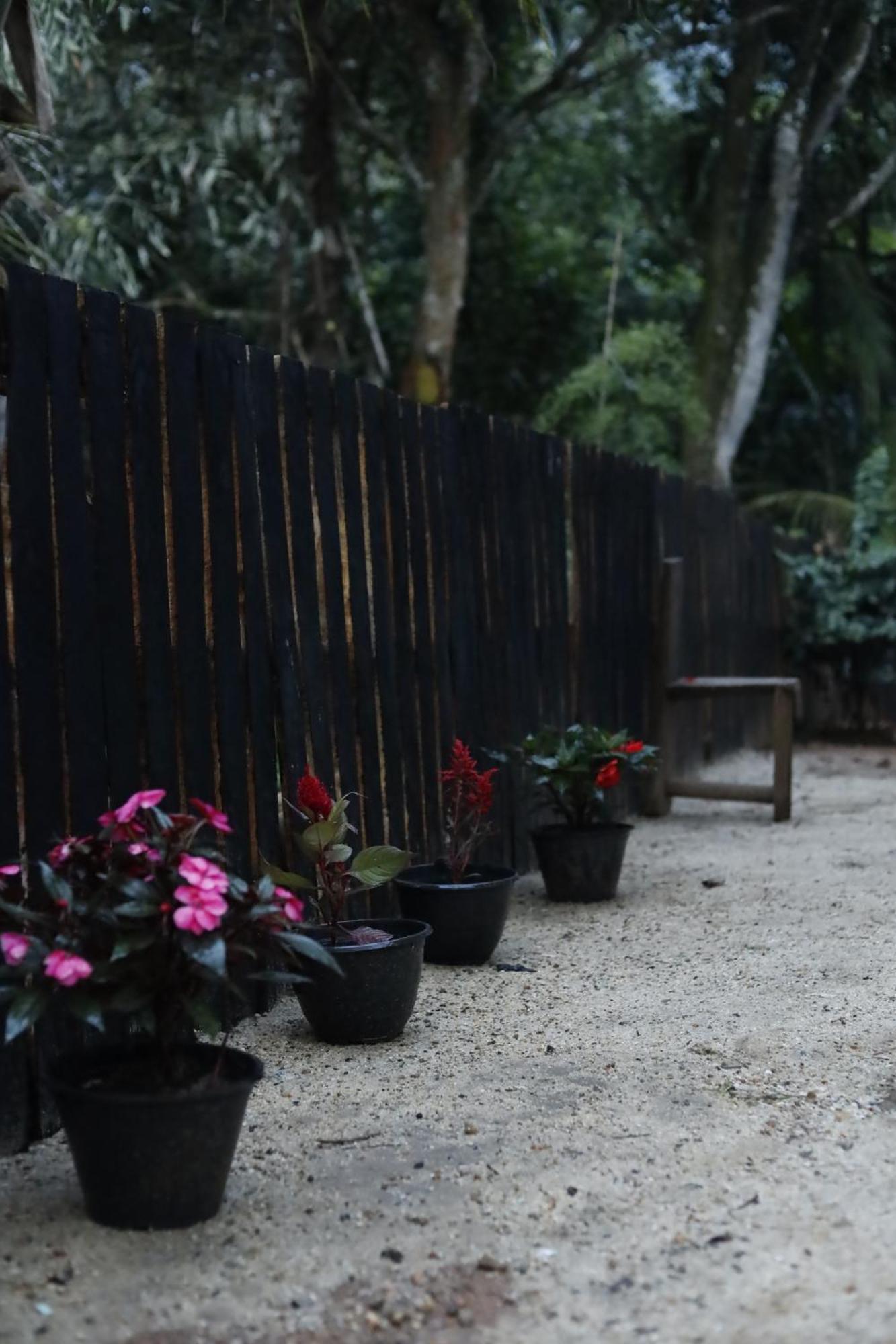 Albergue Bed & Baggage Ella Exterior foto